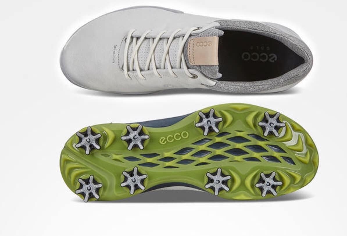 120196007 173924240940650 7274720626760519429 o