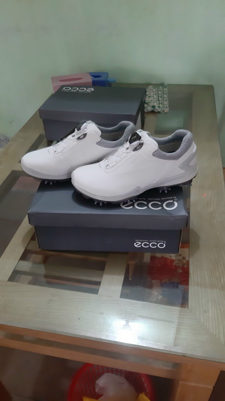 z2600023124668 d4f615dd4e989cc1f1a6f7a0e182dbc5