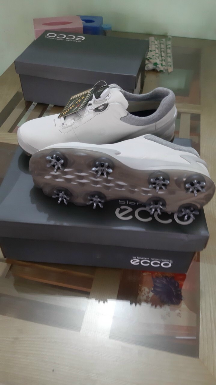 z2600023129764 01a0bc51904d77a4cc185135b9ee6940