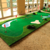 Thảm Tập Golf Putting Green Cao Cấp 2x5m AF-PGM06 1 1 2159