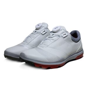 z2429005745219 49f16b3f9cea526c15230e0f0eebc2a4