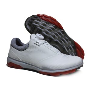 z2429005753822 1ab41fb1fe2240823b562380ae544dde 1