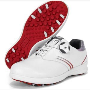 z2510100596047 36e3822392e8c881f382b054296baeac 1