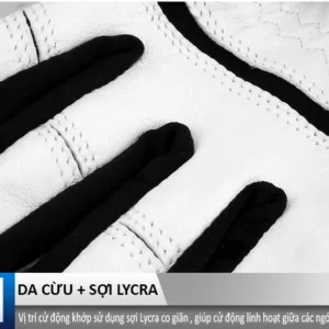 9 954cf122 a69c 4cc0 bad0 0a8df20b0cd5